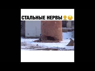 Стальные нервы