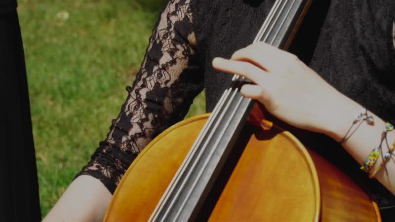 Live камерный ансамбль allegro