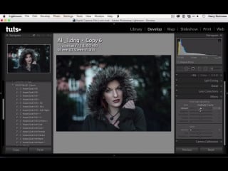 2 5 finishing off give your digital images a colour film look tuts+ course