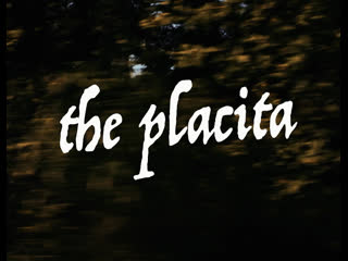 Призыв (2022) the placita