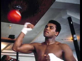 Muhammad ali training hd