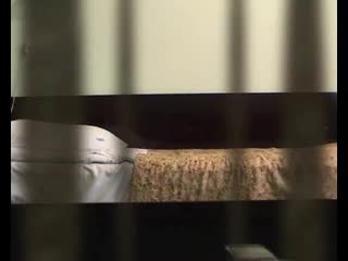 Подглядывает в окно за симпатичной