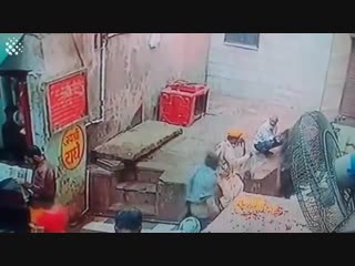 Monkey steals snake from snake charmer cheeky monkey!