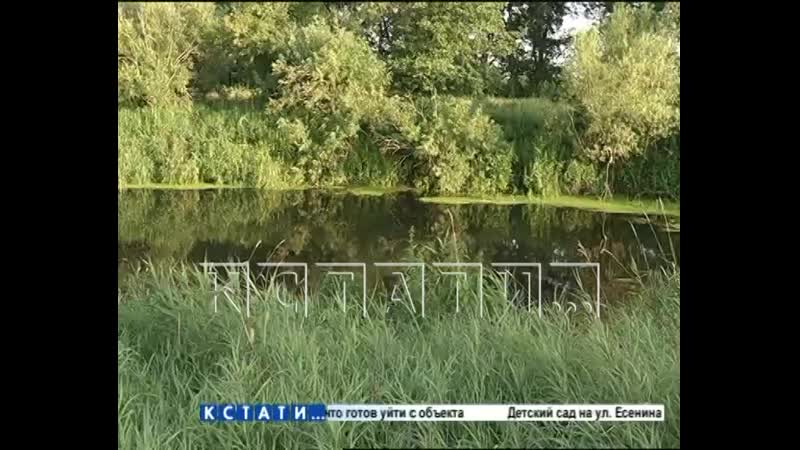 Темная трагедия 3 подружки пошли купаться на речку, а выжили только две