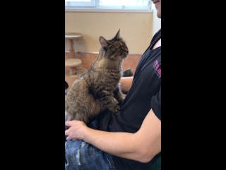 Гайда делает массаж