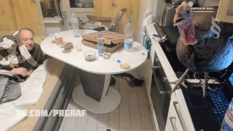 Эдик моранди и индюк у vjlink'a