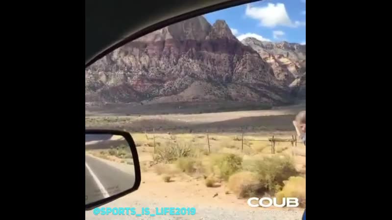 Утренняя пробежка