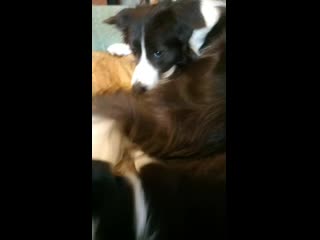 V 20200503 102200 vhdr on mp4