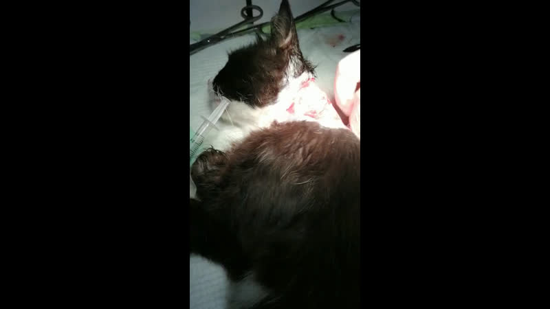 Убрали область некроза