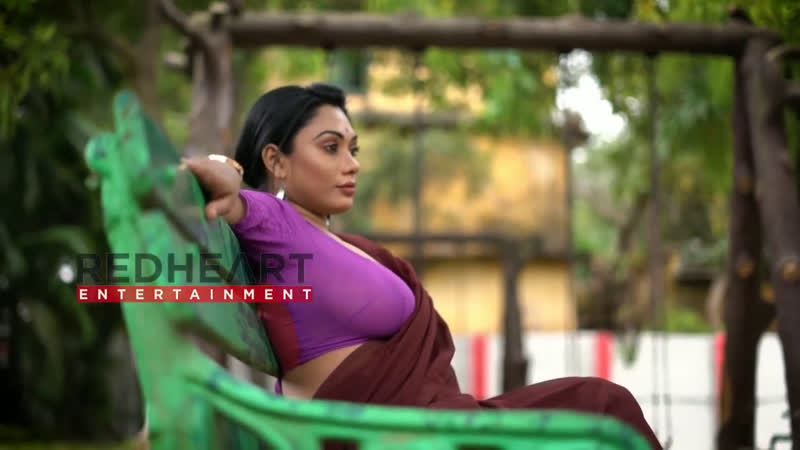 Saree sundari nancy brown saree