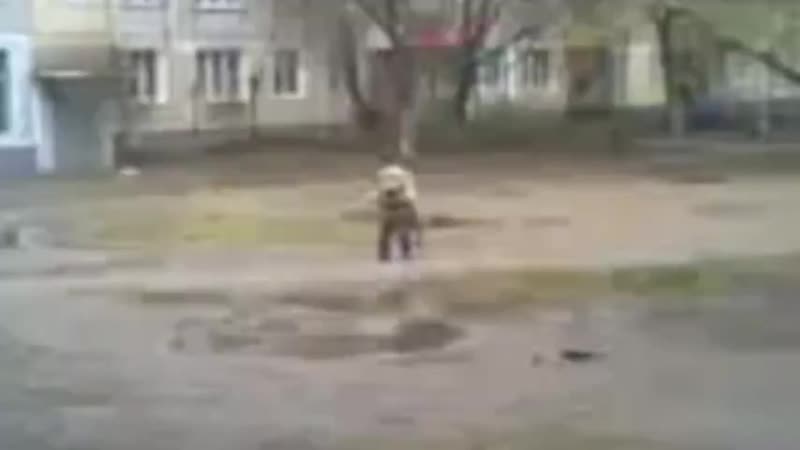 Малый павзраслел тутутуту мама не жди меня я таджик и это прекрасно