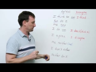 Either, neither, so, too how to agree and disagree in english