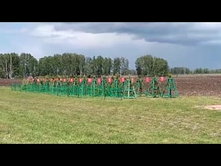 Китайцы нападают