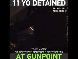 18yo girl handcuffed, held at gunpoint by michigan police