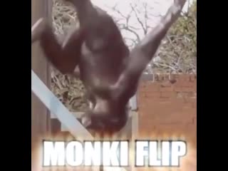 Monki flip