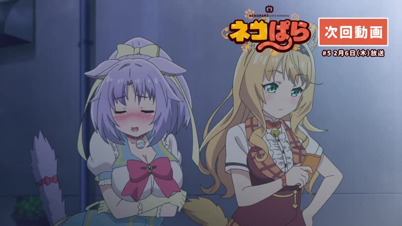Nekopara | кошачий рай превью 5 серии