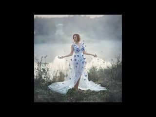 Серия фотографий голубой мотылек