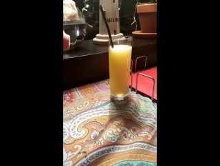 Хрюша хочет попить 😂😂😂