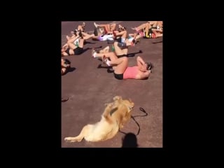 Team bicycles to get the morning started