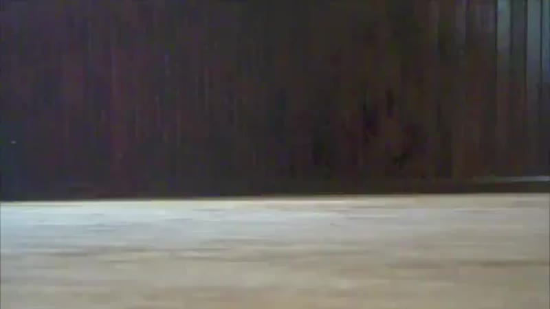 Contra mestre jeromin, professora gata brava (capoeira morro de dende)