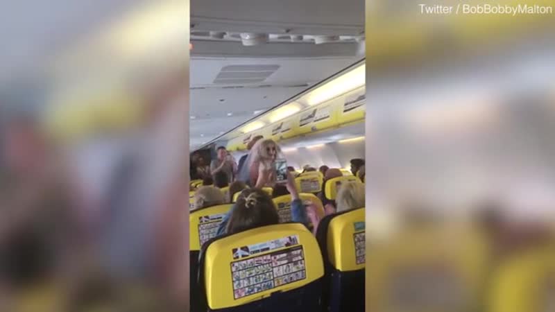 Британские туристы начали праздновать свадьбу на борту самолёта