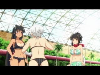 Ниндзя бунтарки махыч под рождество ova / senran kagura estival versus mizugi darake no zen'yasai [esther, cuba77]