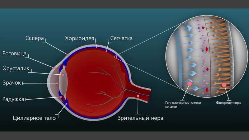 [короче физика] физика 8 класс §6 излучение