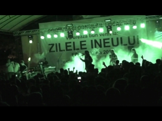 Concert delia zilele ineului