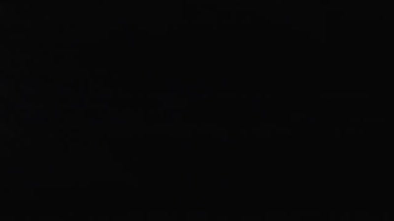 Гаишник навалил в кустах и жизнь удалась жилетка