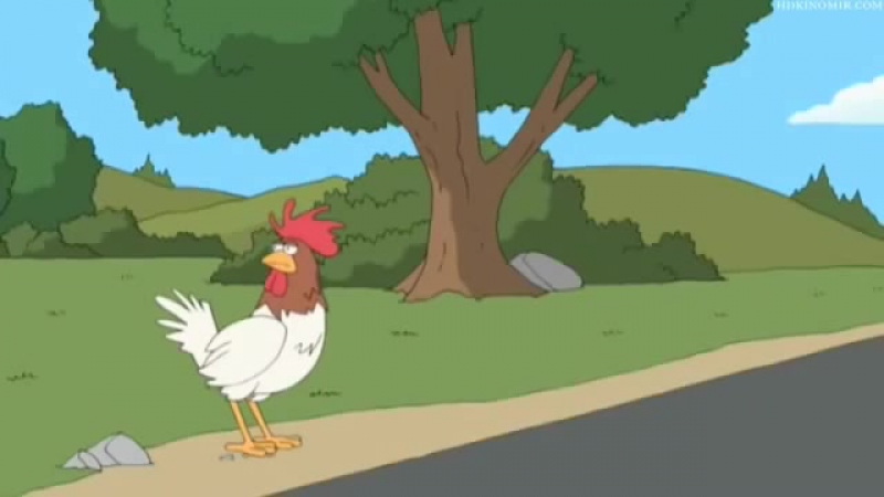 Зачем цыпленок перебежал дорогу?