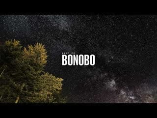 Best of bonobo