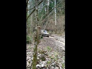 Видео от олеси павличенко