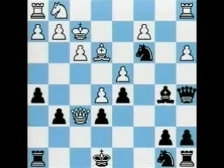 Foxy openings №33 mccutcheon french