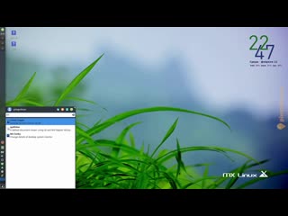 [pingvinus] mx linux на пике популярности?