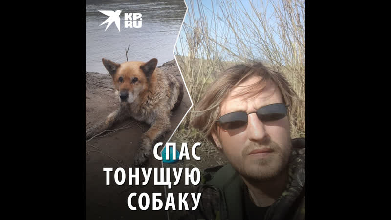 Отец с дочкой спасли молодые с отказавшими лапами