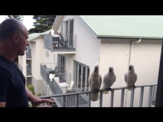 Мендегі үш мүшені қараңыз Үлкен секс туралы бейнелер