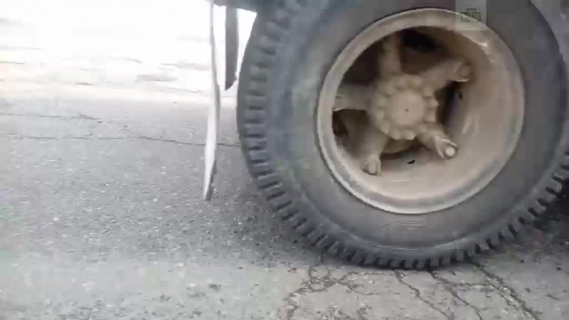 Снег прочнее бетона