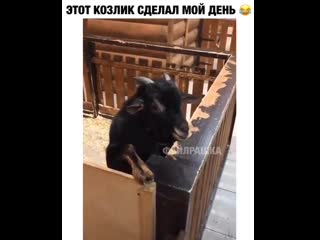 Когда запылесосил в обе ноздри разом😅