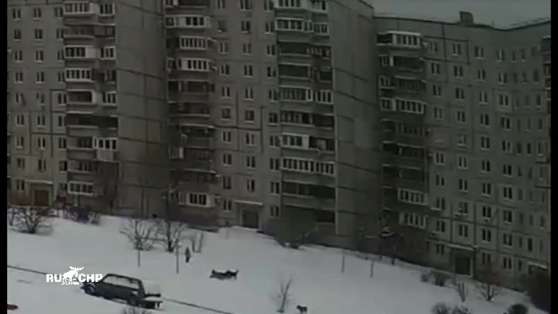 В тольятти озверевшие молодые уже систематически нападают на детей во дворах жилых домов