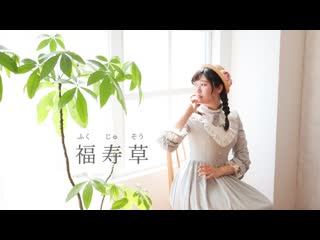 ~【誕生日】福寿草 踊ってみた【sawori】 niconico video sm40497348