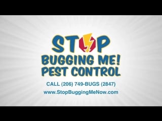 Stop bugging me pest control cockroach
