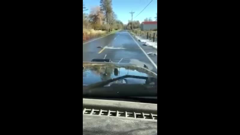 Ехал грека через реку (vhs video)