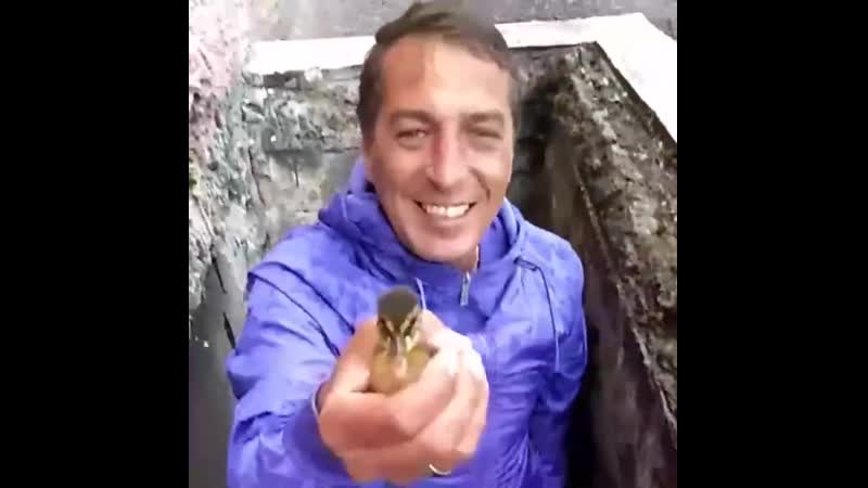 Спасение утенка красноярск