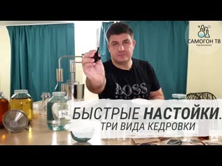 Быстрые настойки три вида кедрои