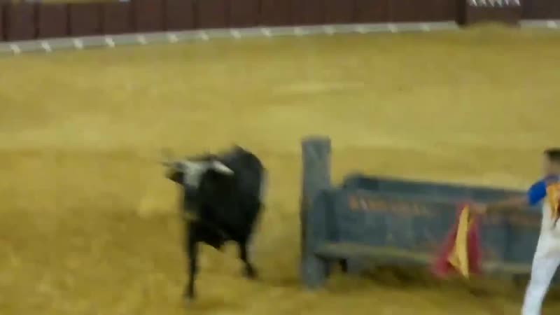 Бык убийца биороботов