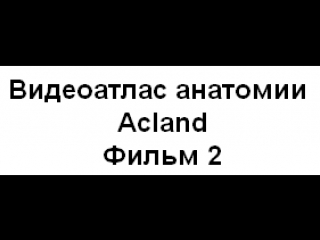 Видеоатлас анатомии acland фильм 2 целиком