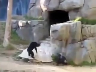 Чет непонятное,но ржачное