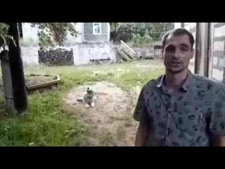 Видео от zооконтроль зоозащитников россии