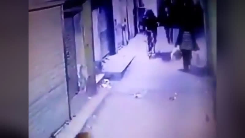 Подрыв смертника в каире +18