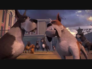 Ozzy ein held auf vier pfoten nicht mit rechten dingen zugehen